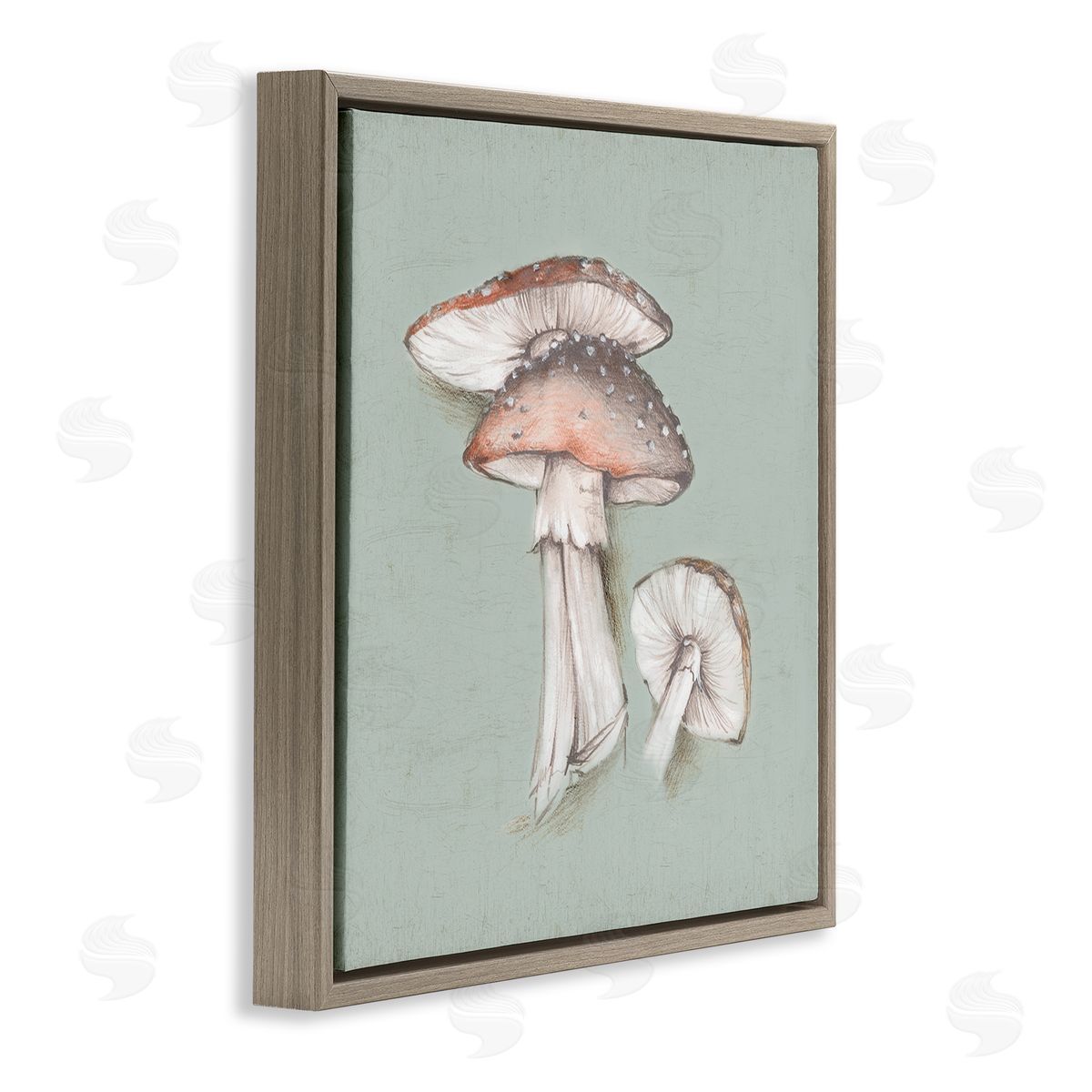 Eli Jones Mushroom Bunch Drawing Brown Floating Frame Canvas Wall Art Print