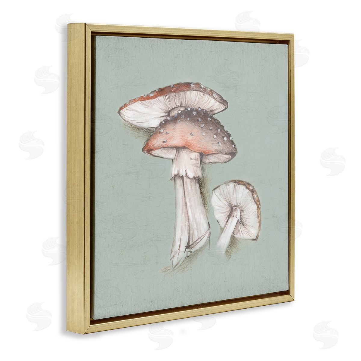 Eli Jones Mushroom Bunch Drawing Gold Floating Frame Canvas Wall Art Print