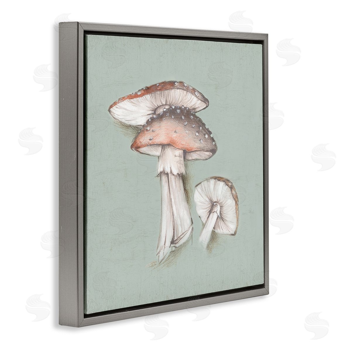 Eli Jones Mushroom Bunch Drawing Gray Floating Frame Canvas Wall Art Print