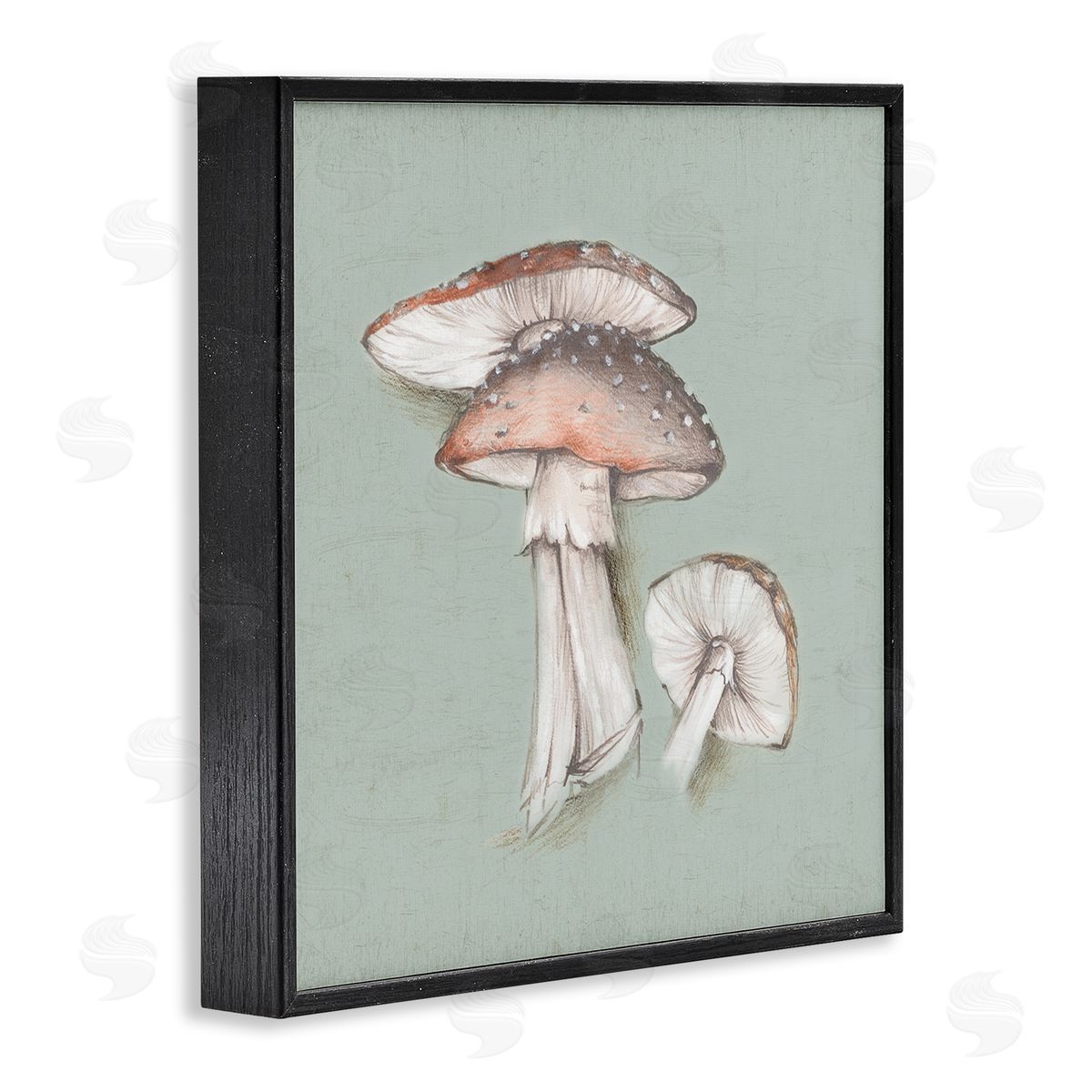 Eli Jones Mushroom Bunch Drawing Black Framed Giclee Wall Art Print