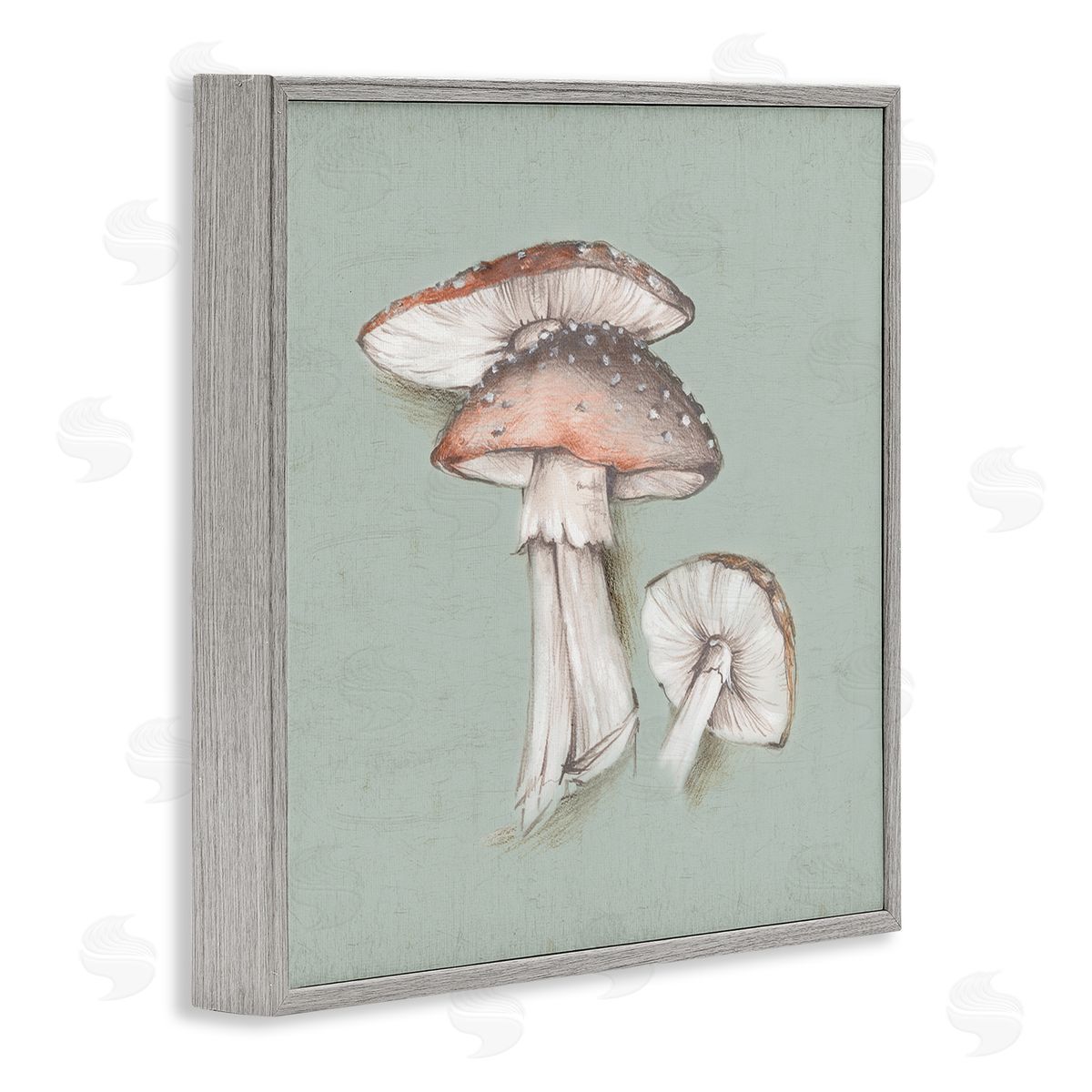 Eli Jones Mushroom Bunch Drawing Gray Framed Giclee Wall Art Print