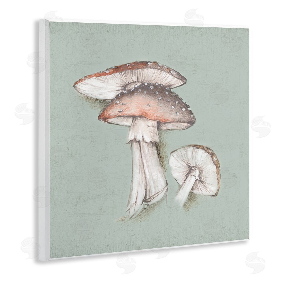 Eli Jones Mushroom Bunch Drawing Wooden Wall Plaque Art Print