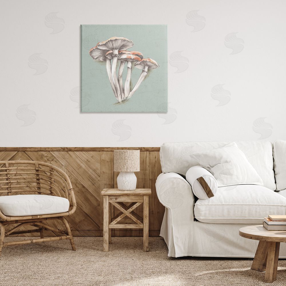 Eli Jones Mushroom Bundle Drawing Canvas Wall Art Print in Room