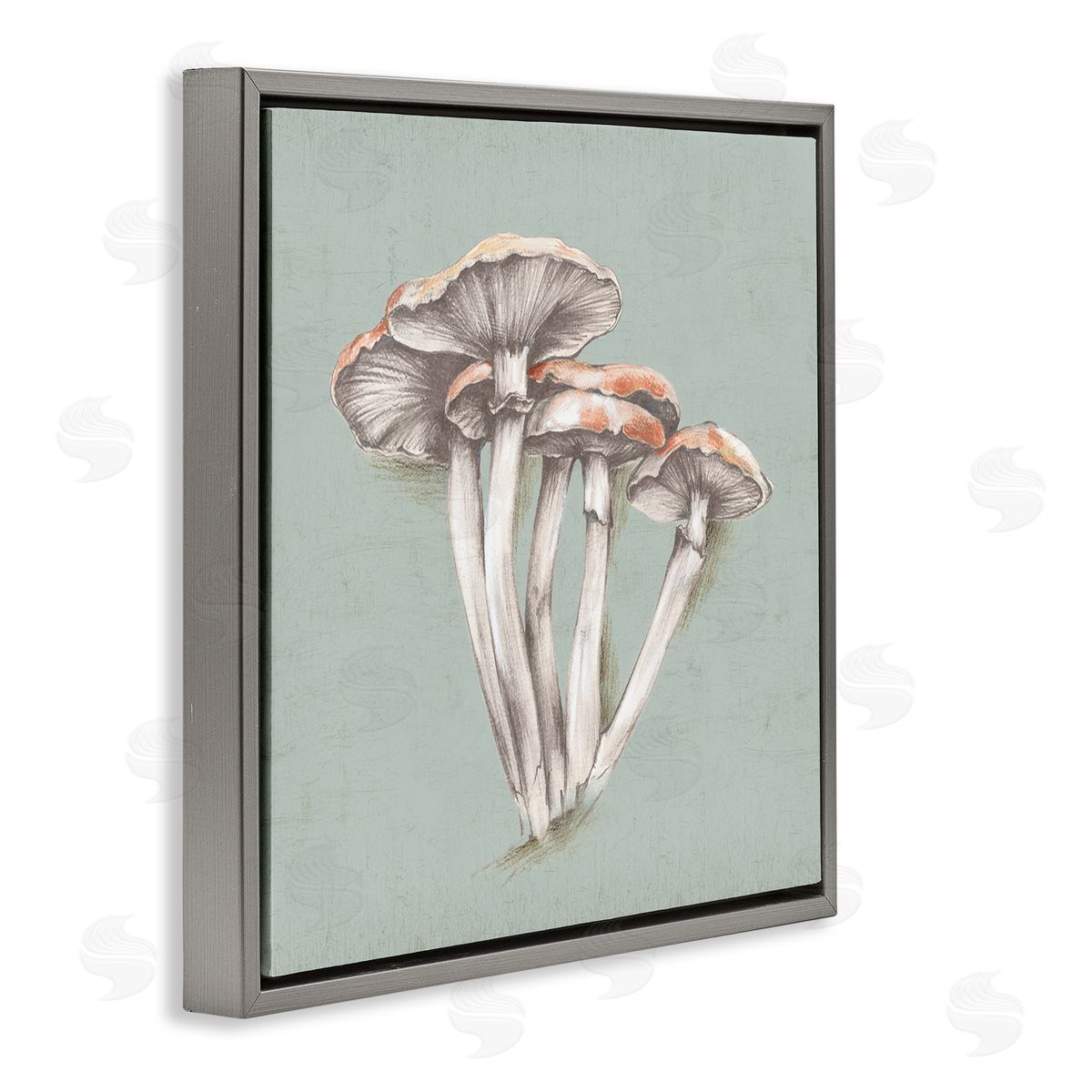 Eli Jones Mushroom Bundle Drawing Gray Floating Frame Canvas Wall Art Print
