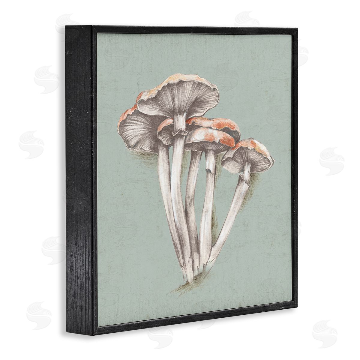 Eli Jones Mushroom Bundle Drawing Black Framed Giclee Wall Art Print