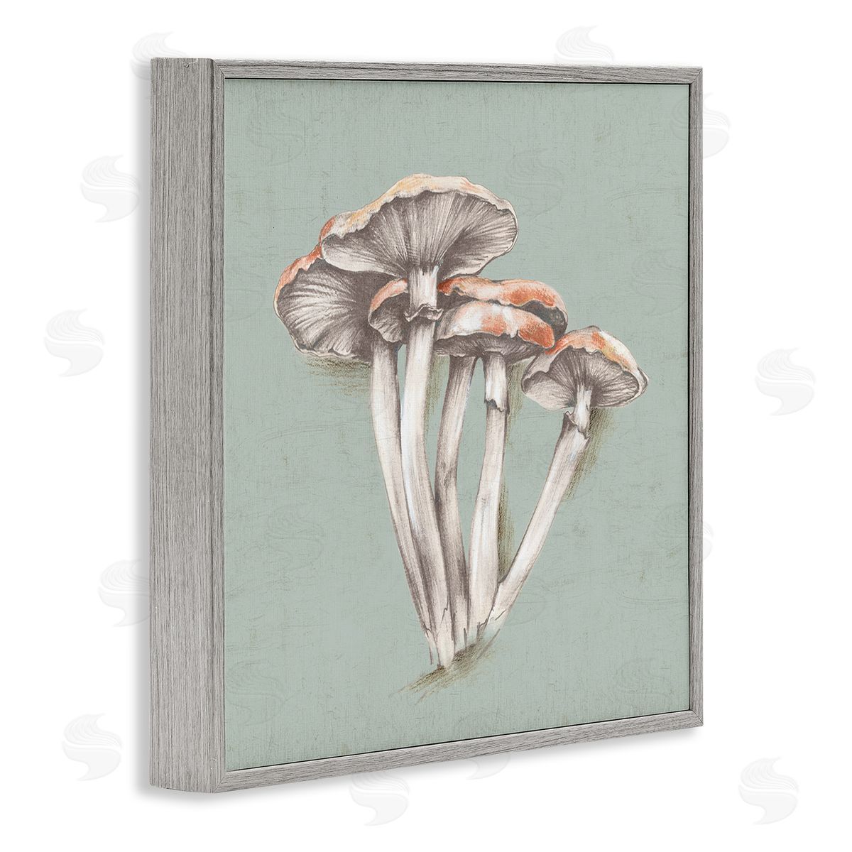 Eli Jones Mushroom Bundle Drawing Gray Framed Giclee Wall Art Print