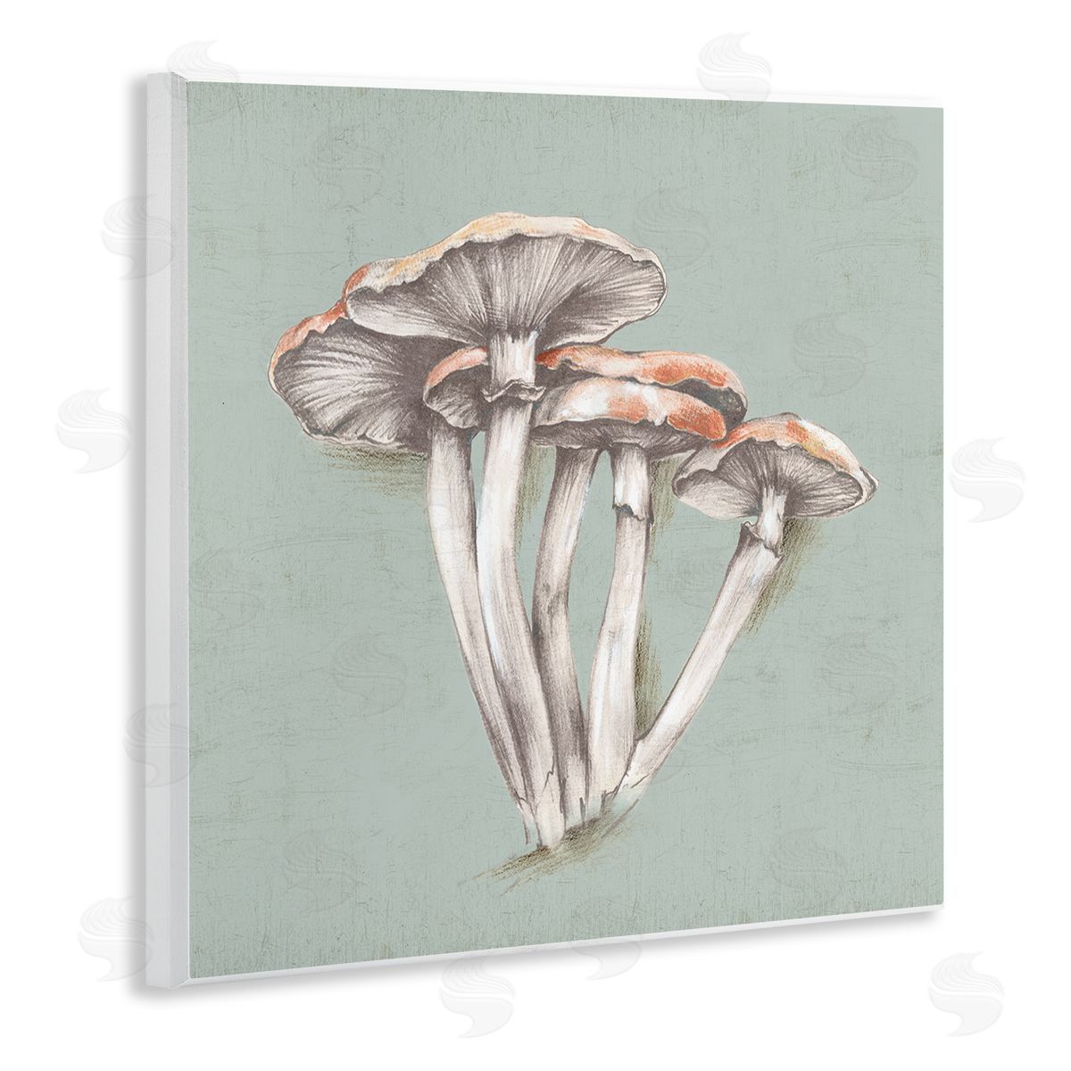 Eli Jones Mushroom Bundle Drawing Wooden Wall Plaque Art Print