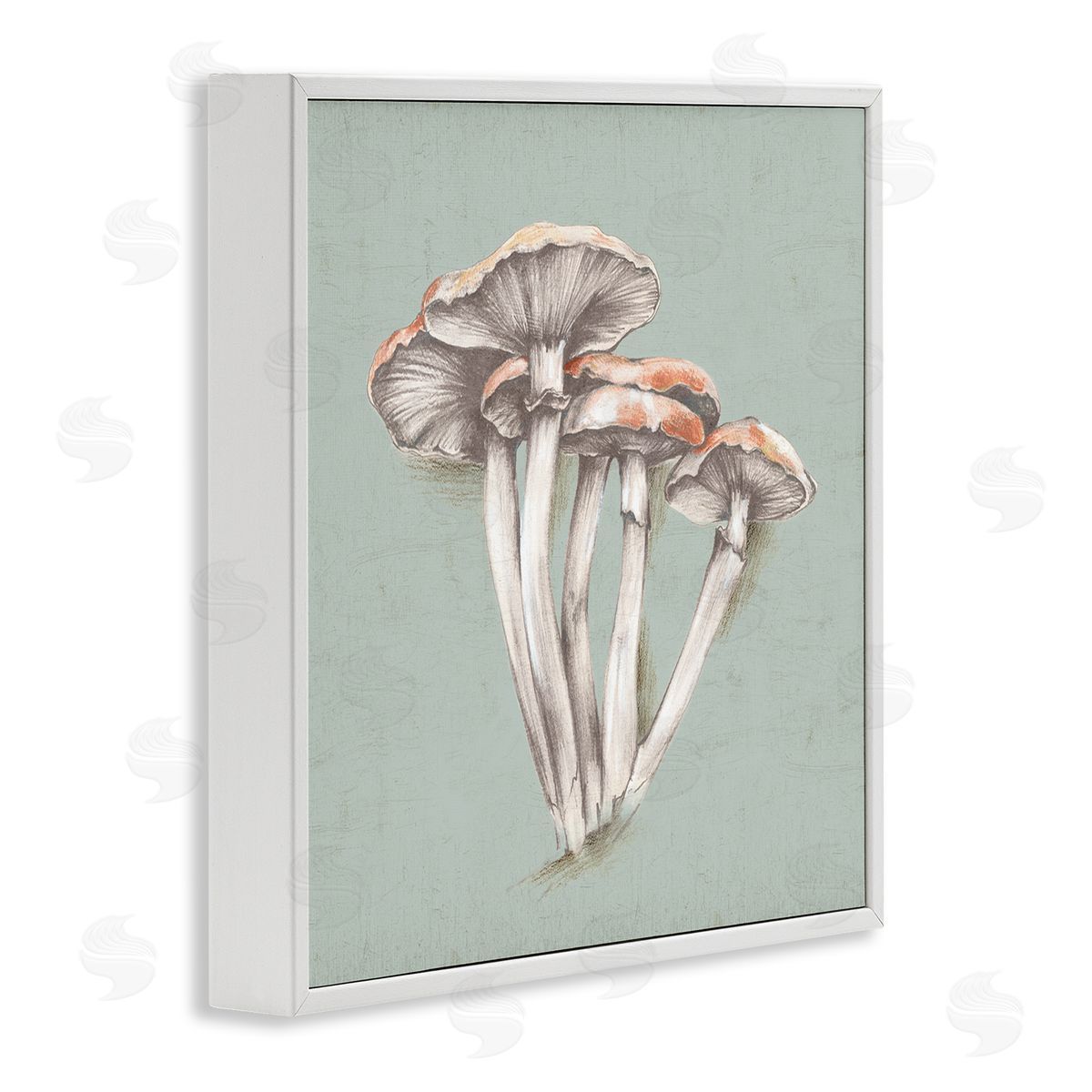 Eli Jones Mushroom Bundle Drawing White Framed Giclee Wall Art Print