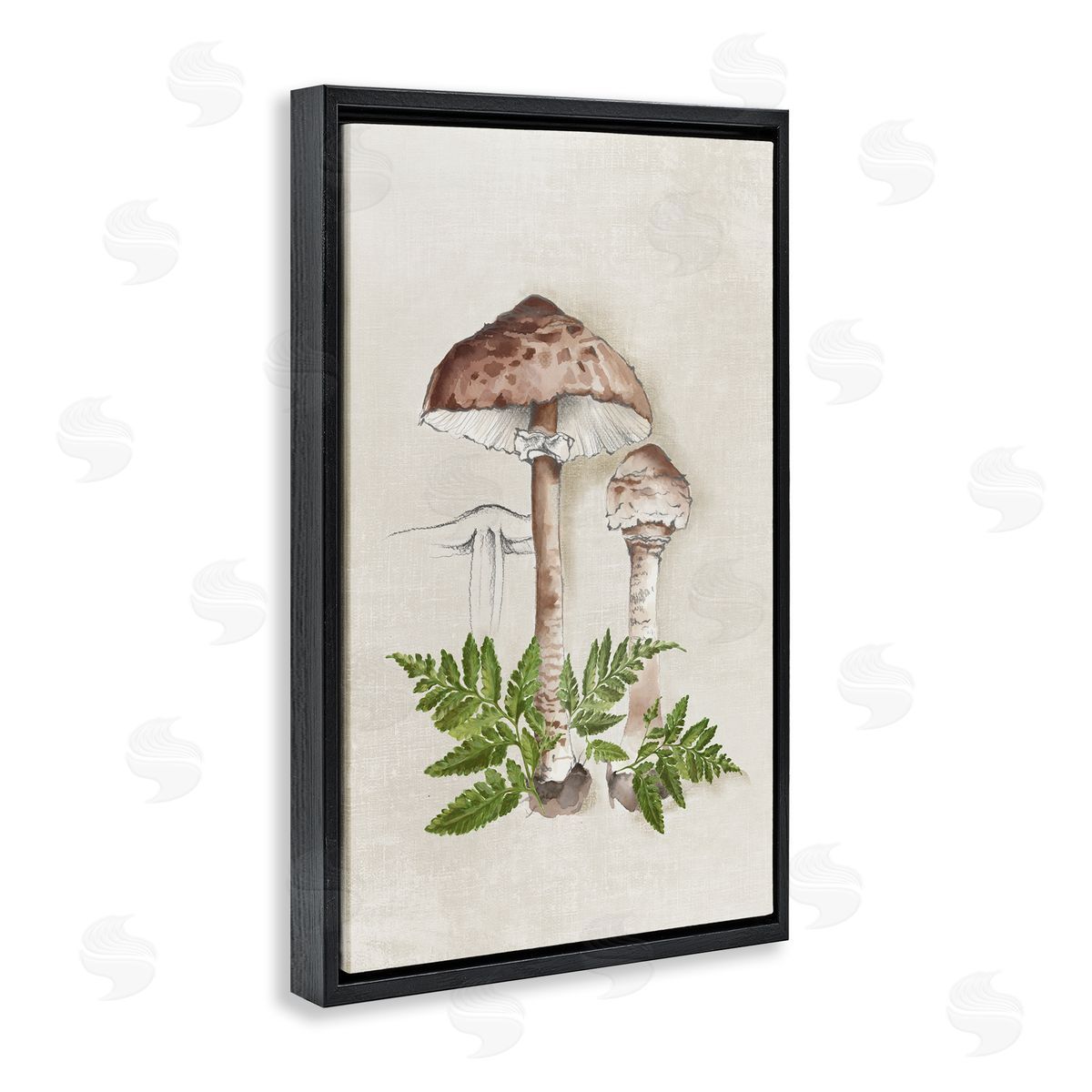 Eli Jones Mushroom & Ferns Sketch Black Floating Frame Canvas Wall Art Print