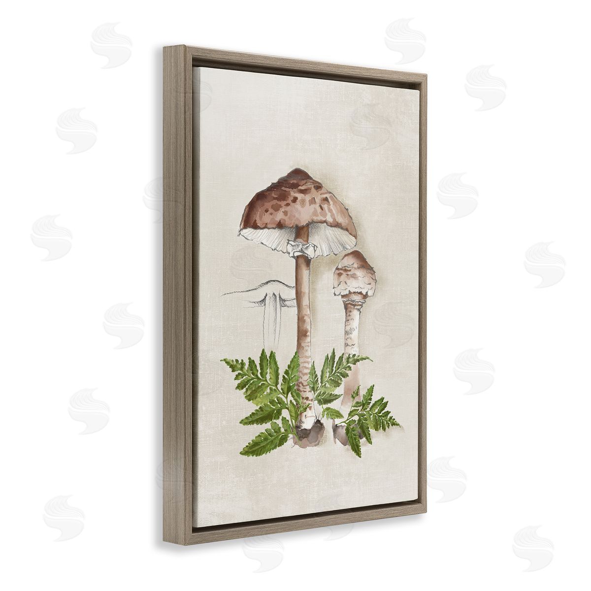 Eli Jones Mushroom & Ferns Sketch Brown Floating Frame Canvas Wall Art Print
