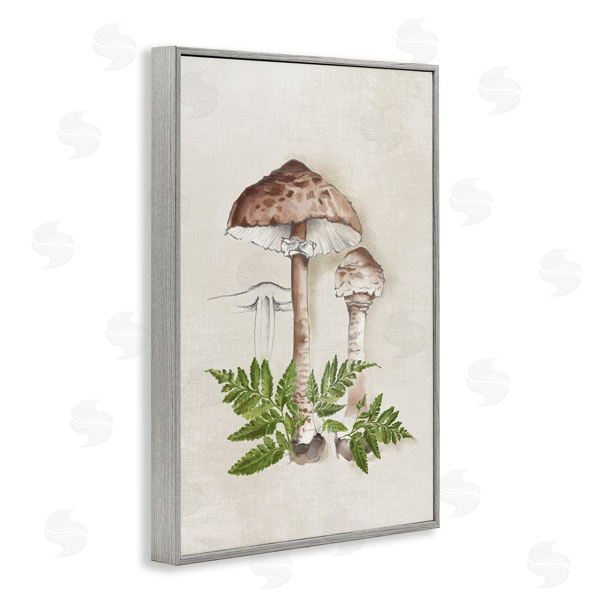 Eli Jones Mushroom & Ferns Sketch Gray Framed Giclee Wall Art Print
