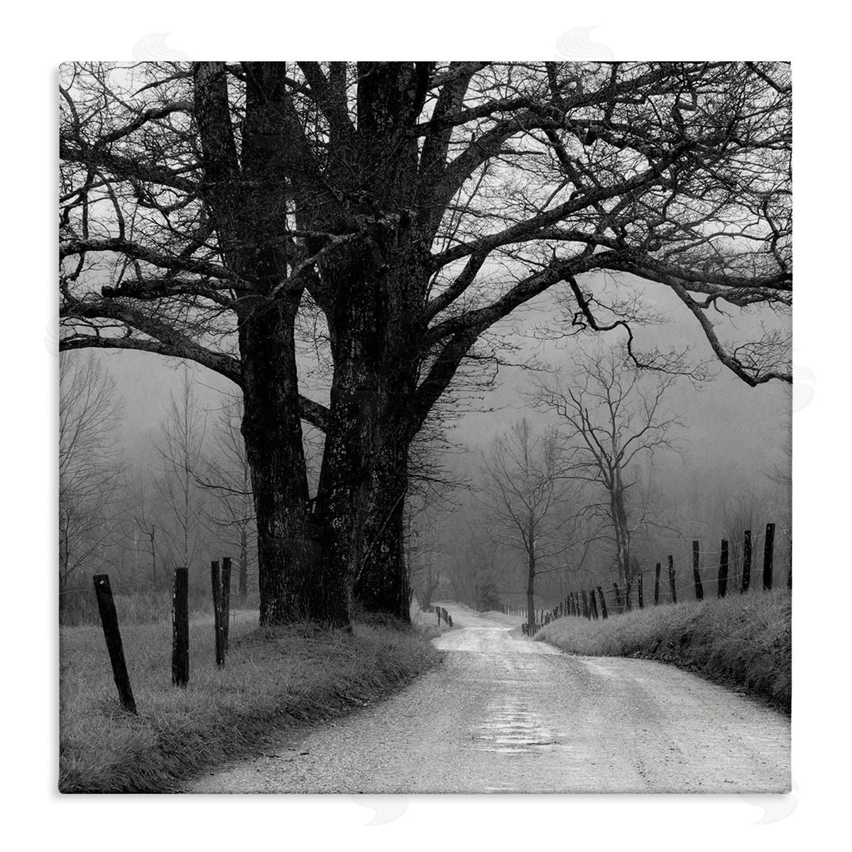 Nicholas Bell Lonely Path Toward Trees Canvas Wall Art Print