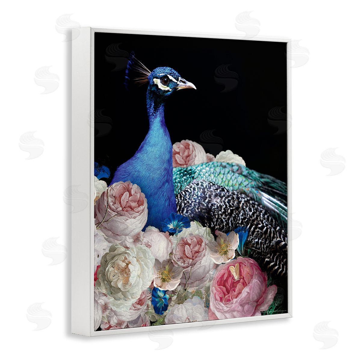 Reinders Peacock & Peonies White Framed Giclee Wall Art Print