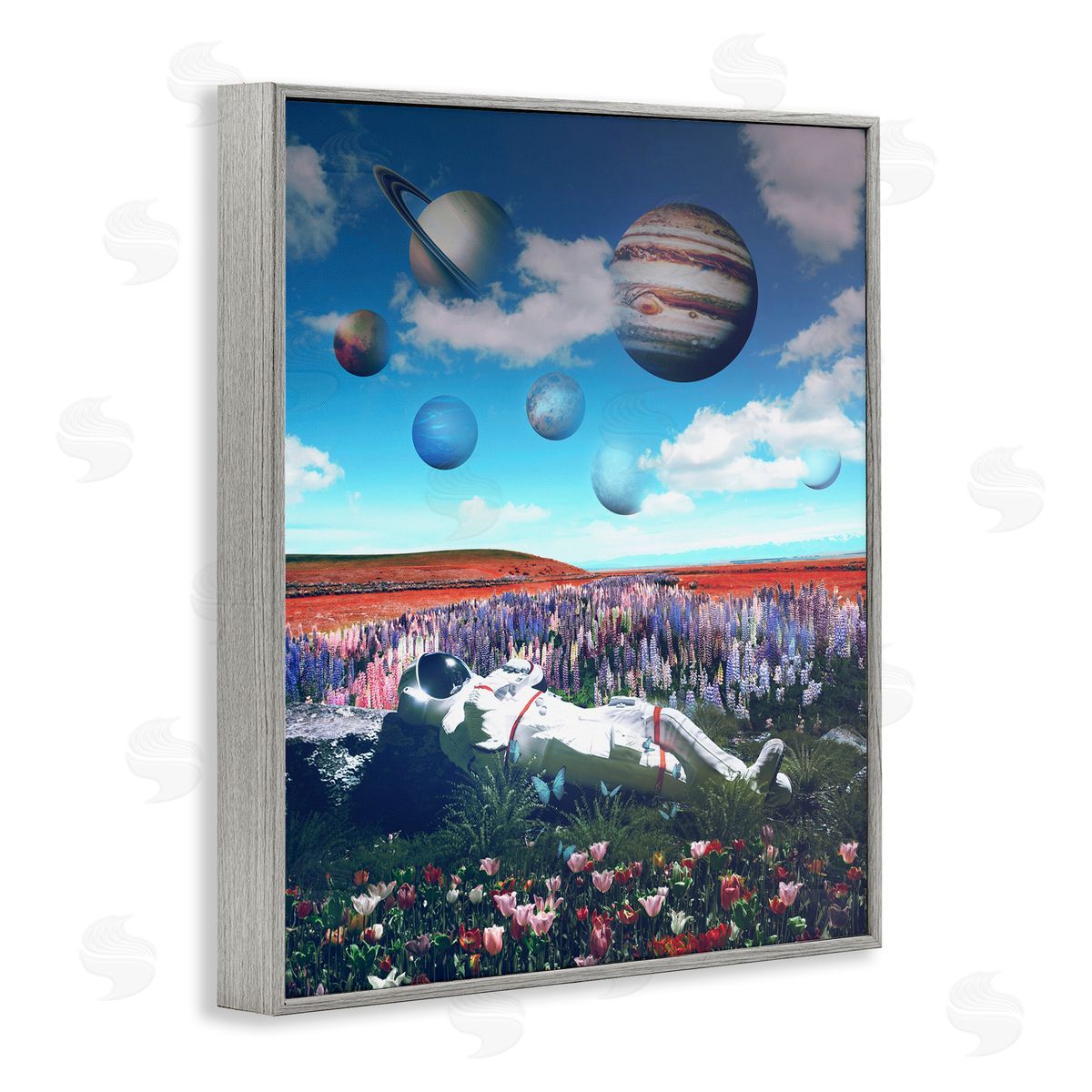 Reinders Astronaut & Overhead Planets Gray Framed Giclee Wall Art Print