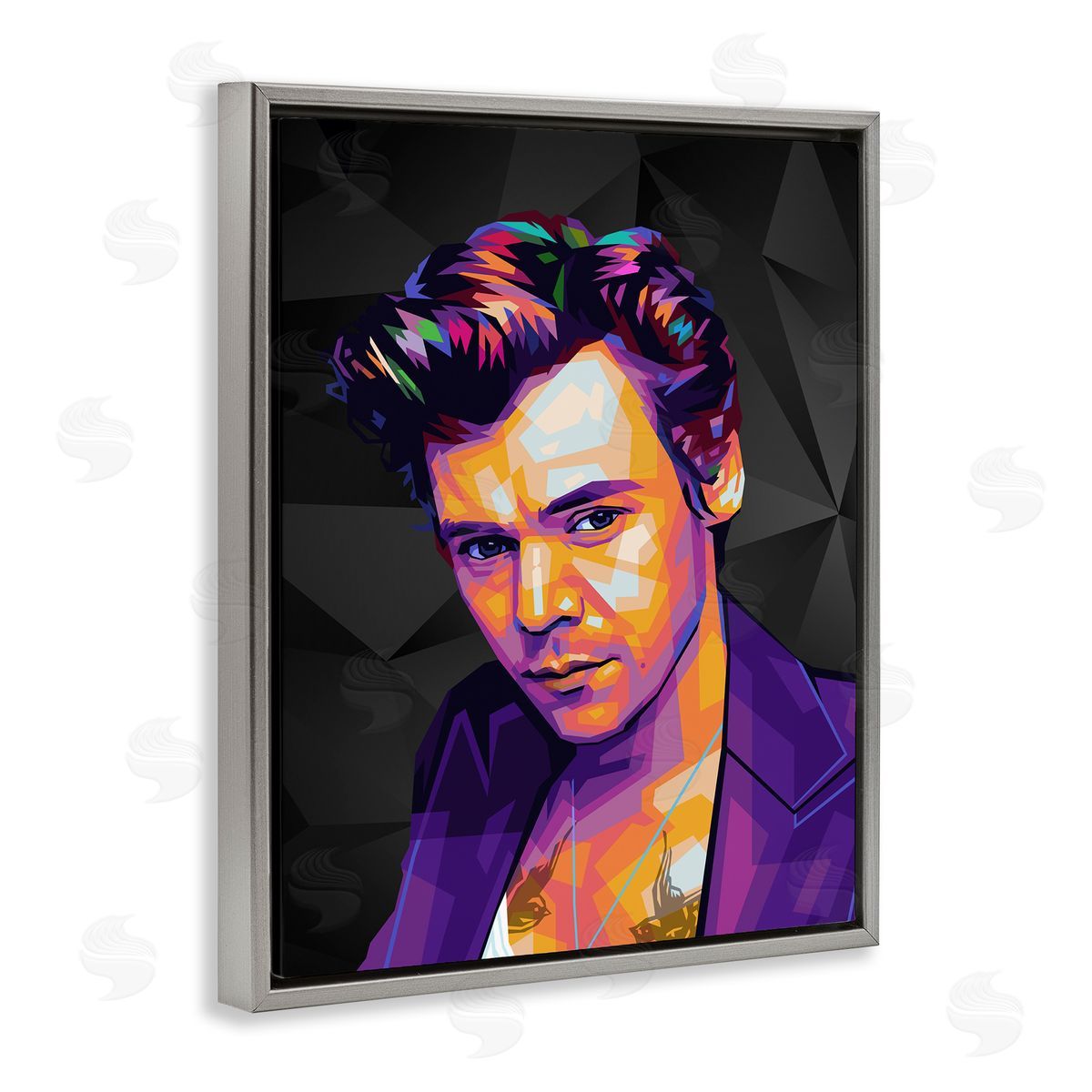 Birch & Ink Bright Harry on Black Gray Floating Frame Canvas Wall Art Print