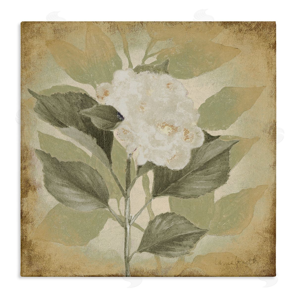 Lanie Loreth Rustic Geranium Impression Canvas Wall Art Print