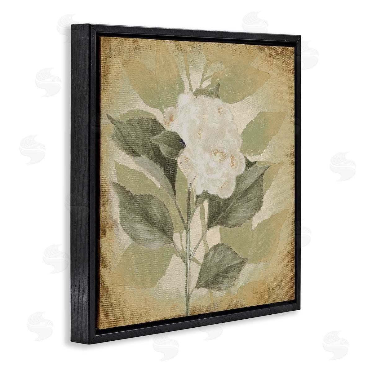 Lanie Loreth Rustic Geranium Impression Black Floating Frame Canvas Wall Art Print