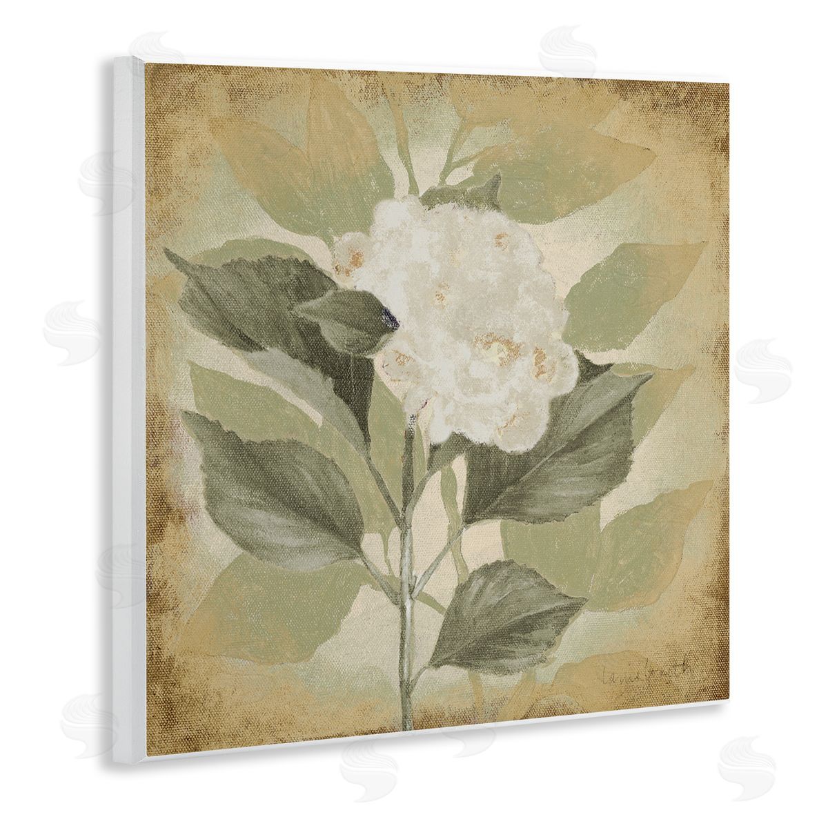 Lanie Loreth Rustic Geranium Impression Wooden Wall Plaque Art Print
