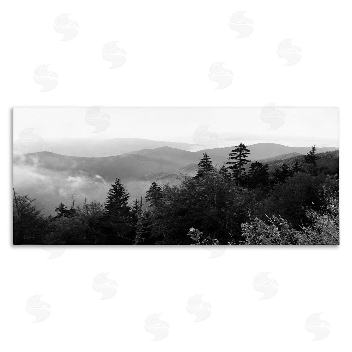 Lori Deiter Mountainous Trees Horizon