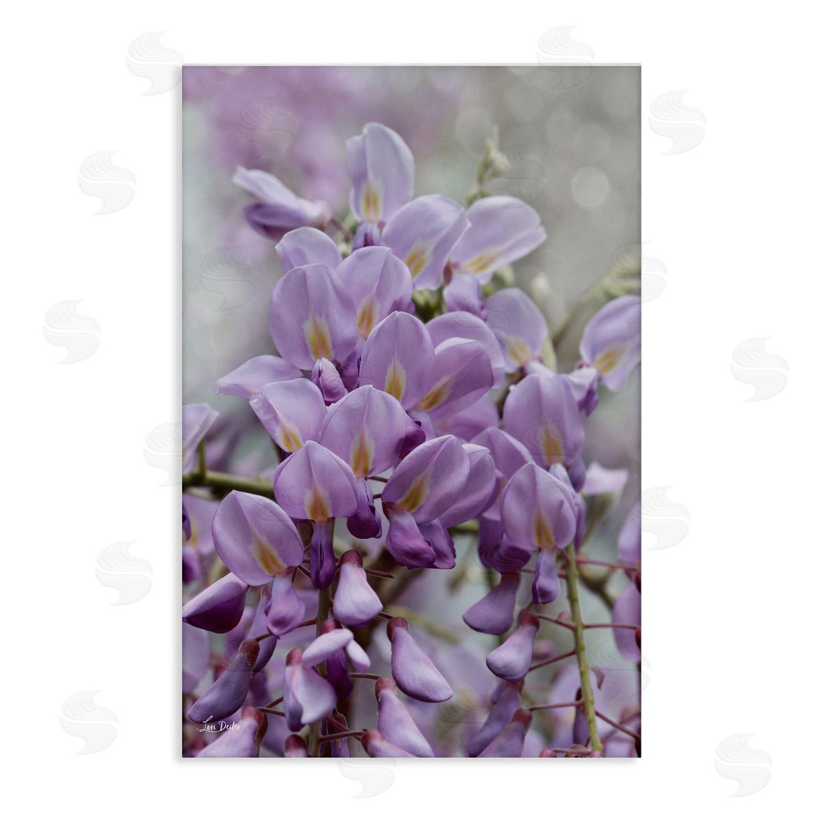 Lori Deiter Purple Orchid Petals Canvas Wall Art Print