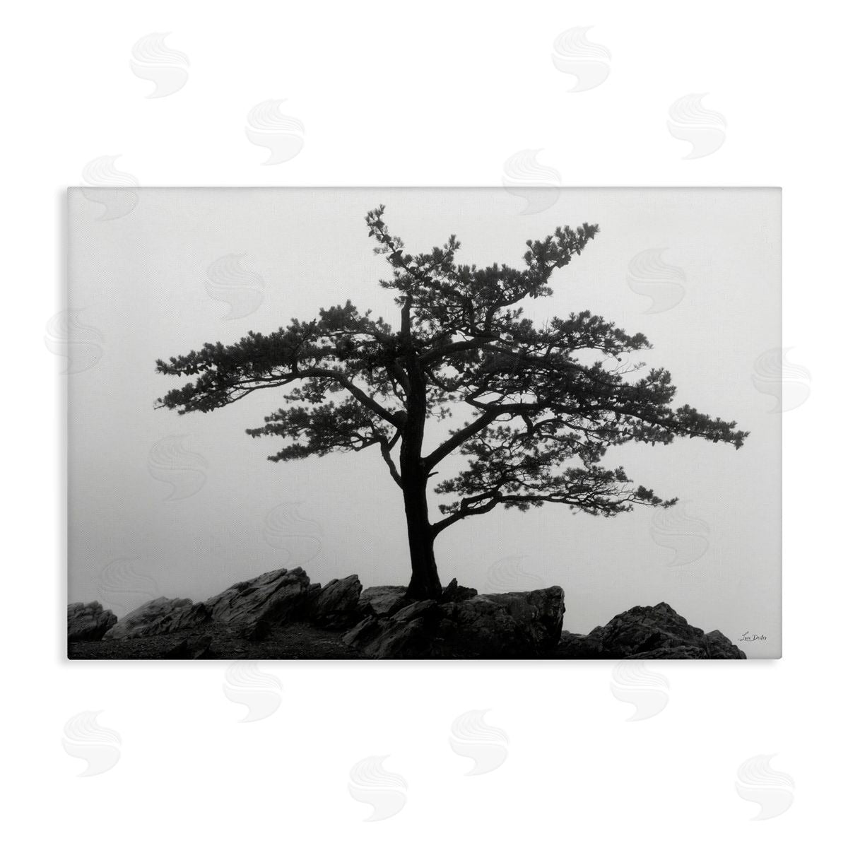 Lori Deiter Lone Tree on Rocks Canvas Wall Art Print