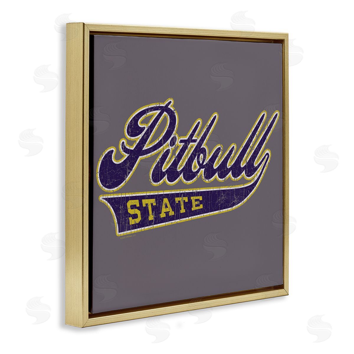 Spirit Animals/Life Is High Varsity Style Pitbull State Gold Floating Frame Canvas Wall Art Print