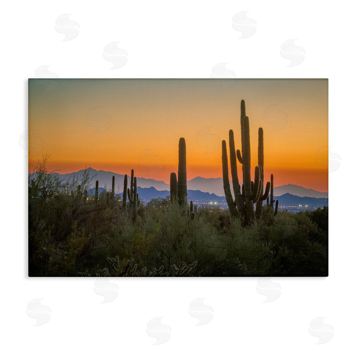 Marty Hulsebos Looming Cacti Sunset Canvas Wall Art Print