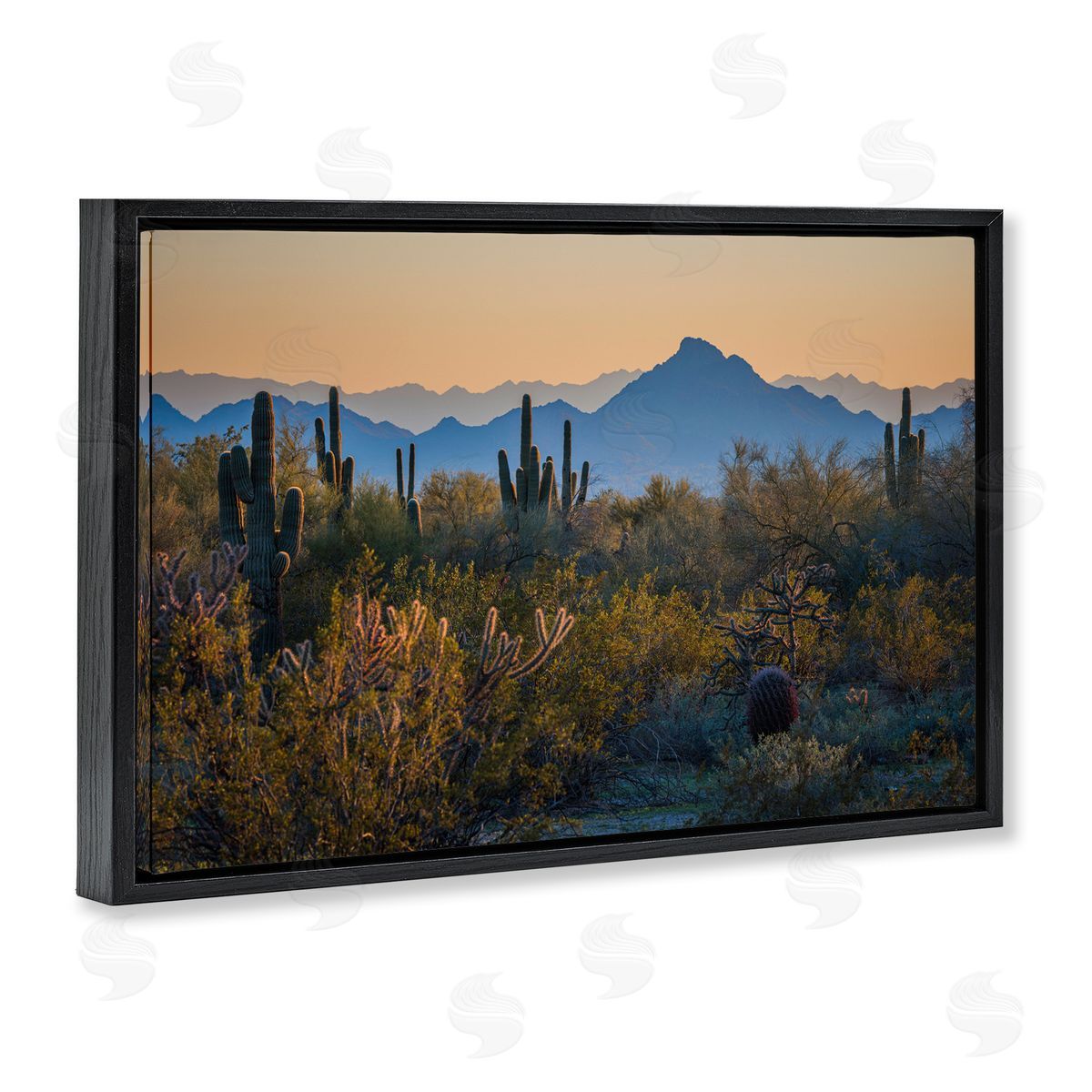 Marty Hulsebos Contrasting Desertscape Scene Black Floating Frame Canvas Wall Art Print