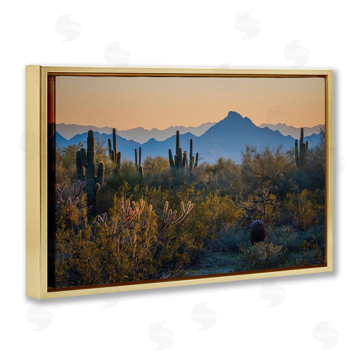 Marty Hulsebos Contrasting Desertscape Scene Gold Floating Frame Canvas Wall Art Print