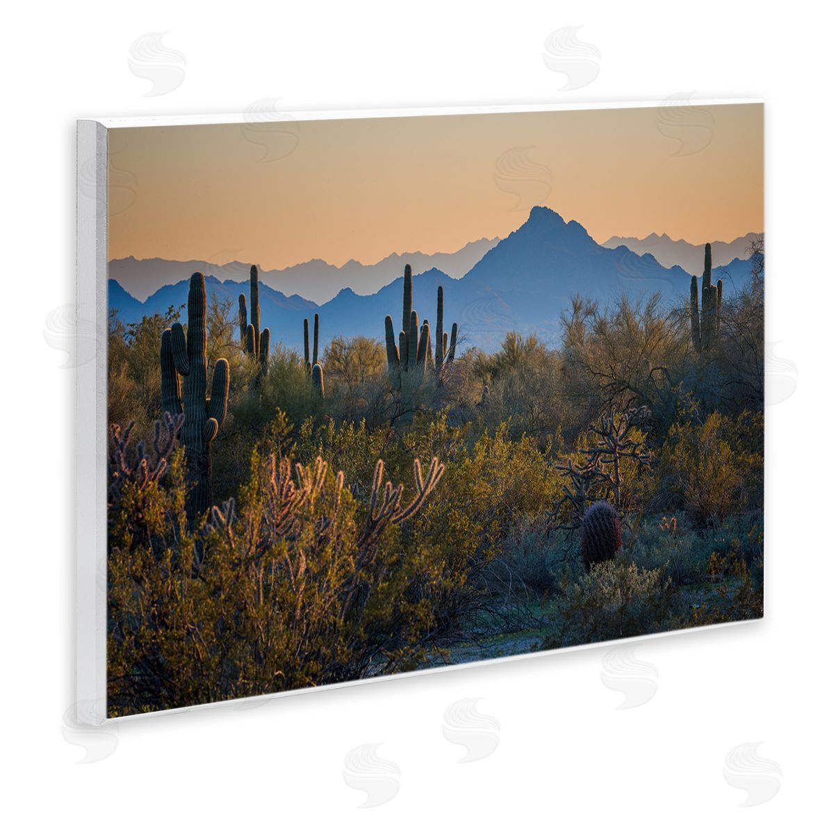 Marty Hulsebos Contrasting Desertscape Scene Wooden Wall Plaque Art Print