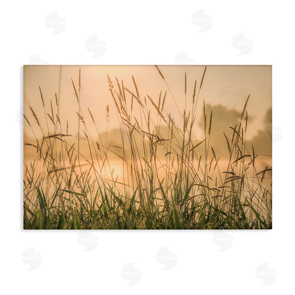 Marty Hulsebos Grassy Country Reeds Canvas Wall Art Print