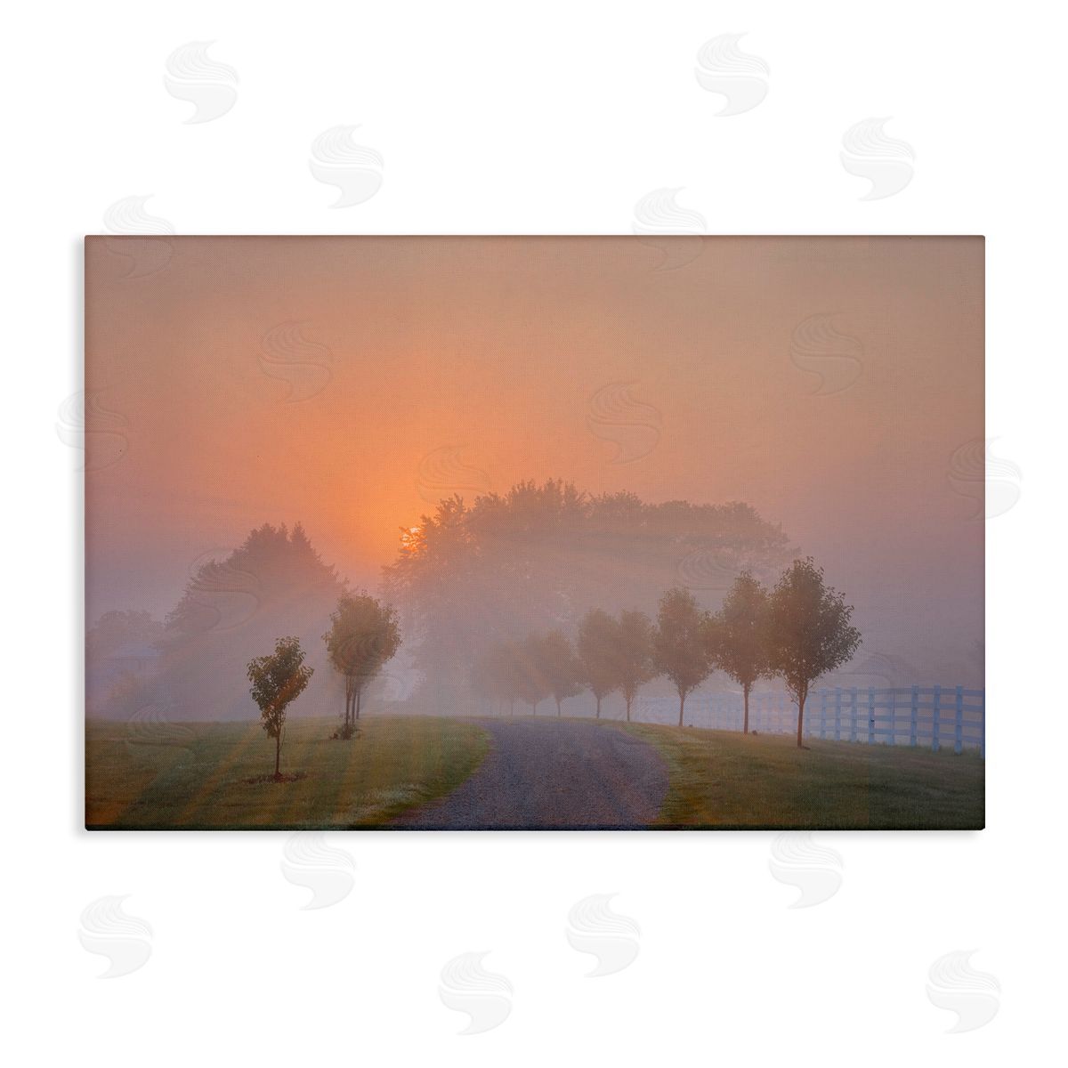 Marty Hulsebos Grove Path at Sunset Canvas Wall Art Print