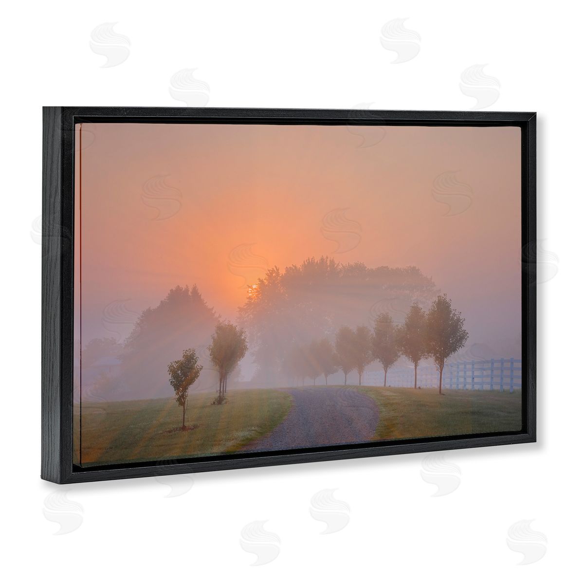 Marty Hulsebos Grove Path at Sunset Black Floating Frame Canvas Wall Art Print