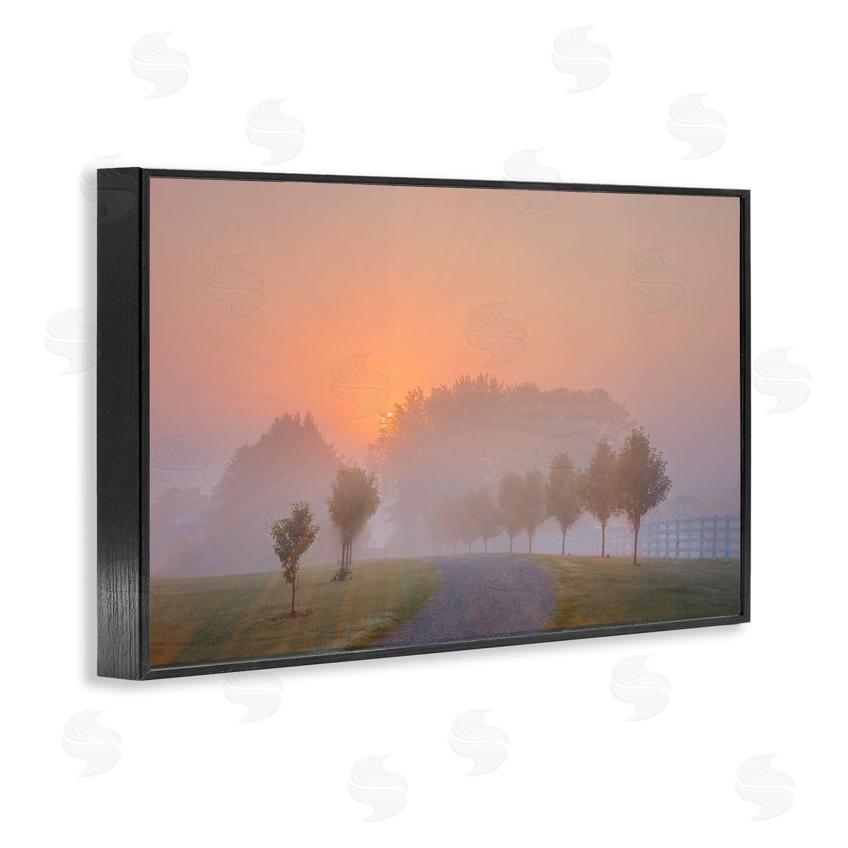 Marty Hulsebos Grove Path at Sunset Black Framed Giclee Wall Art Print