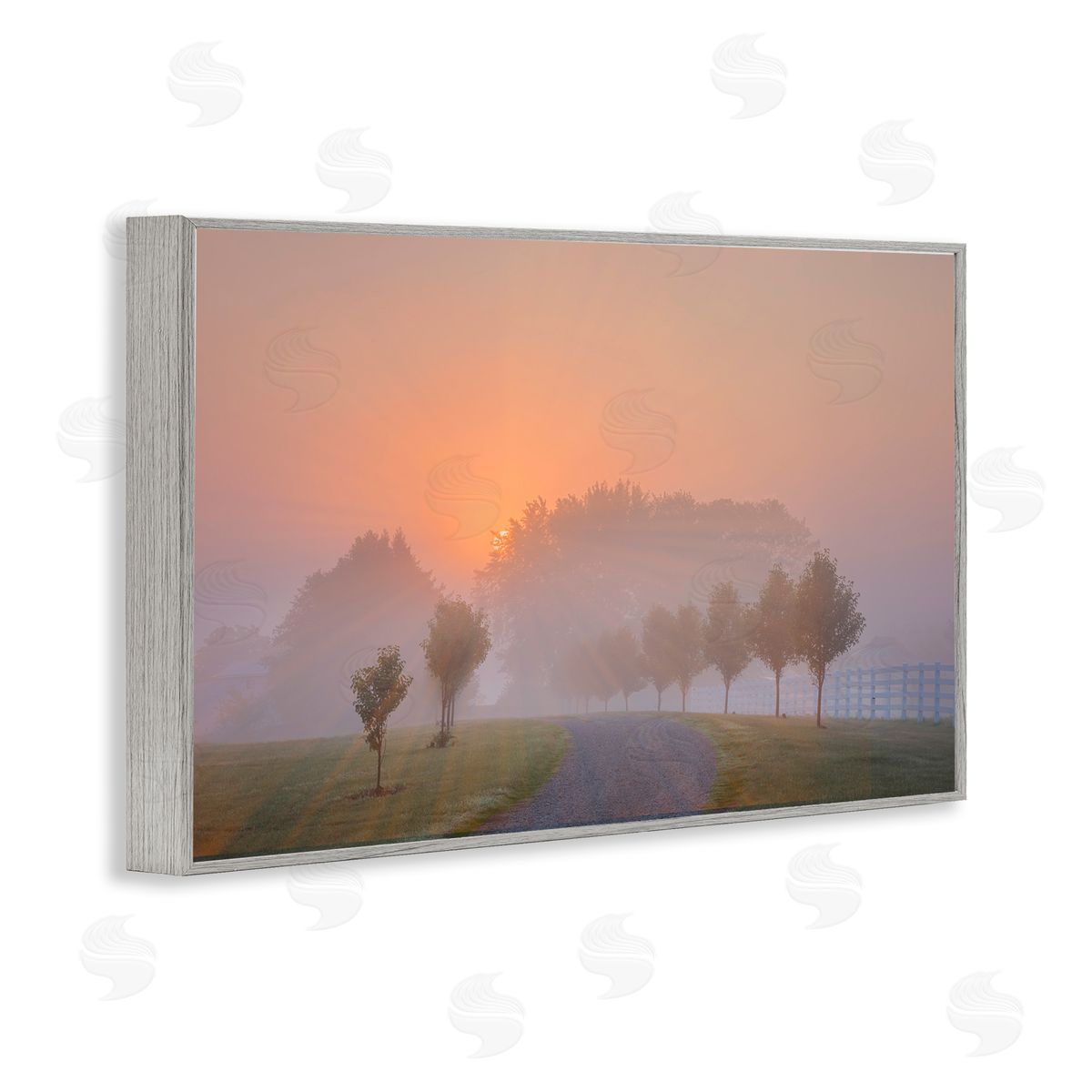 Marty Hulsebos Grove Path at Sunset Gray Framed Giclee Wall Art Print