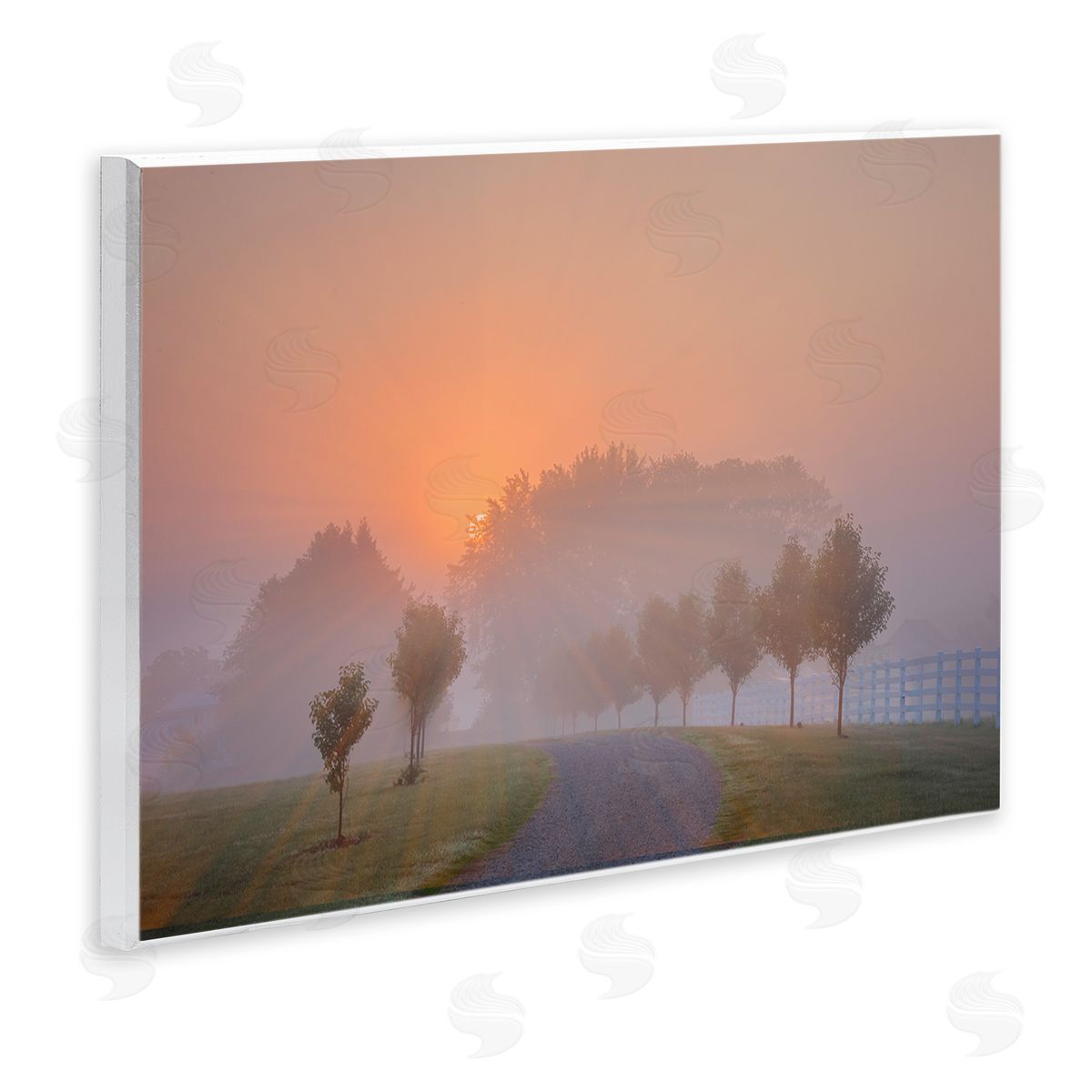 Marty Hulsebos Grove Path at Sunset Wooden Wall Plaque Art Print