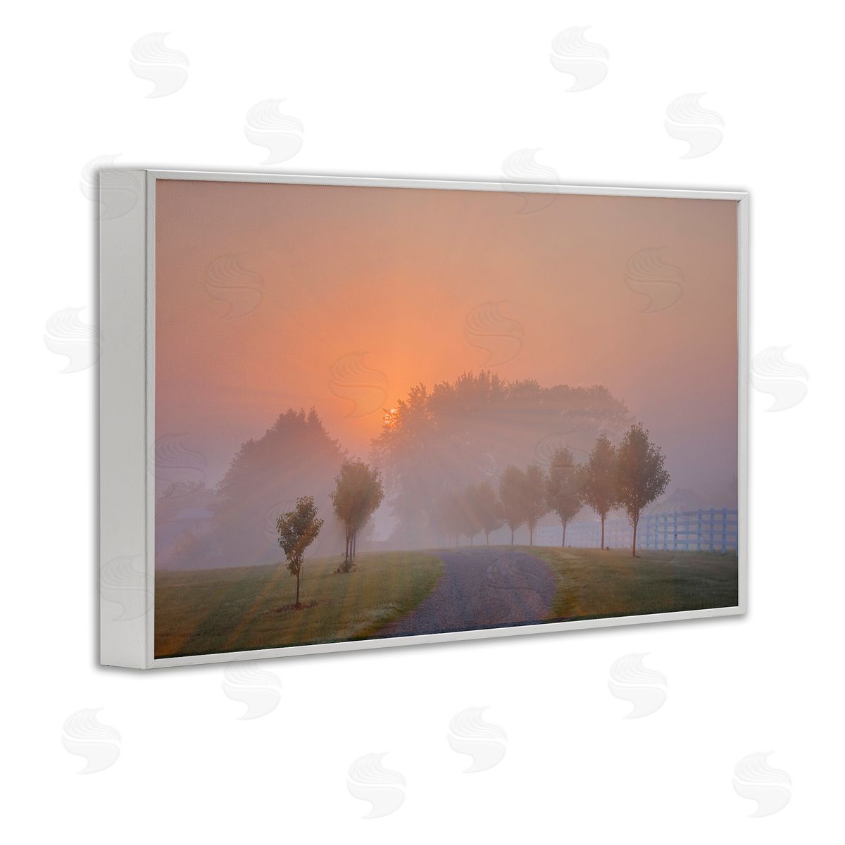 Marty Hulsebos Grove Path at Sunset White Framed Giclee Wall Art Print