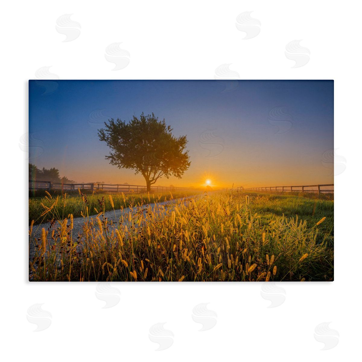 Marty Hulsebos Rising Sun Horizon Canvas Wall Art Print