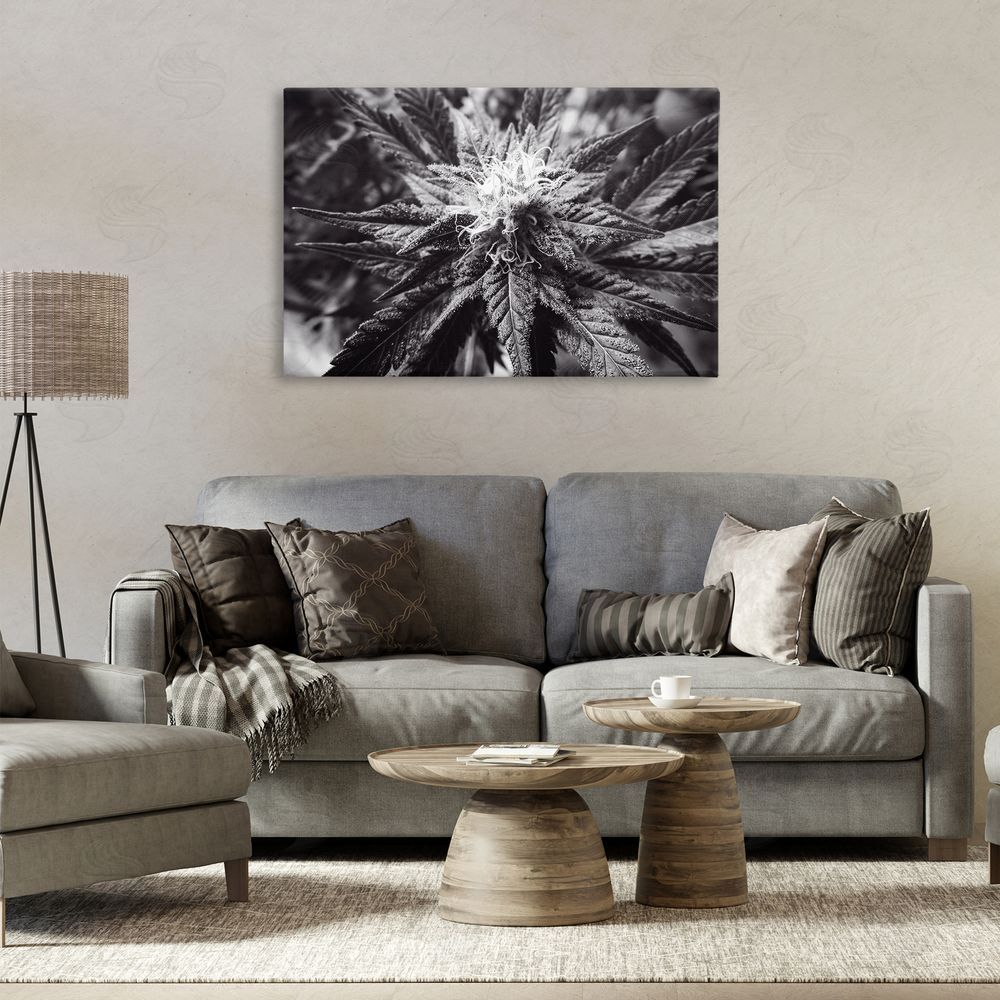 LIH Dark Cannabis Flower Canvas Wall Art Print in Room