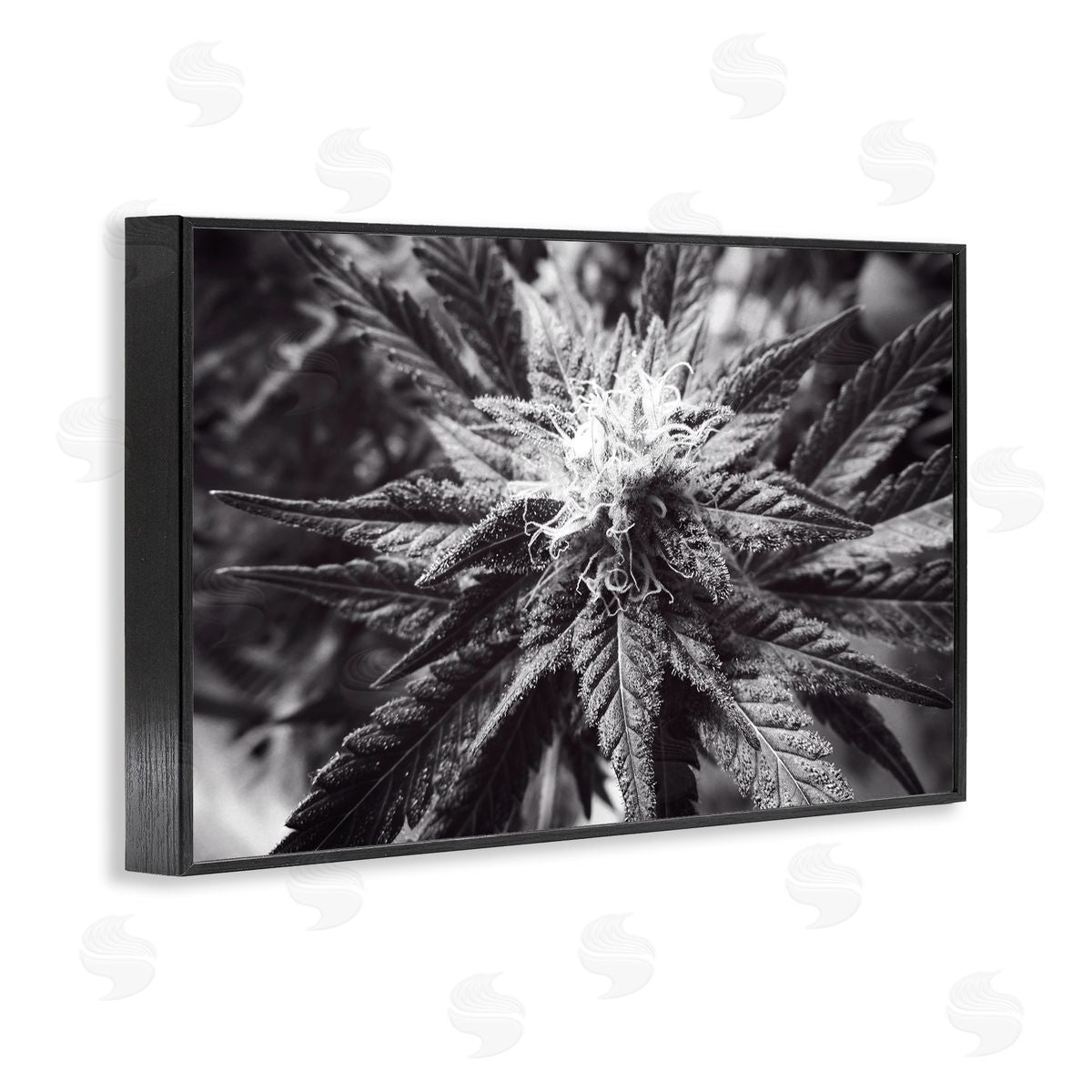 LIH Dark Cannabis Flower Black Framed Giclee Wall Art Print