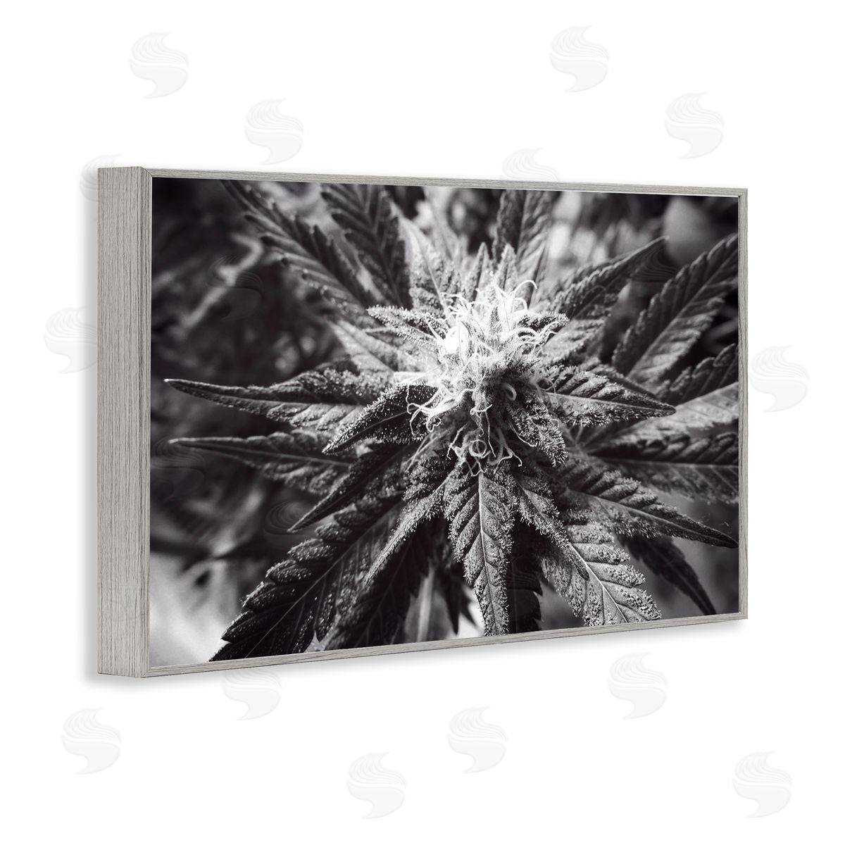 LIH Dark Cannabis Flower Gray Framed Giclee Wall Art Print