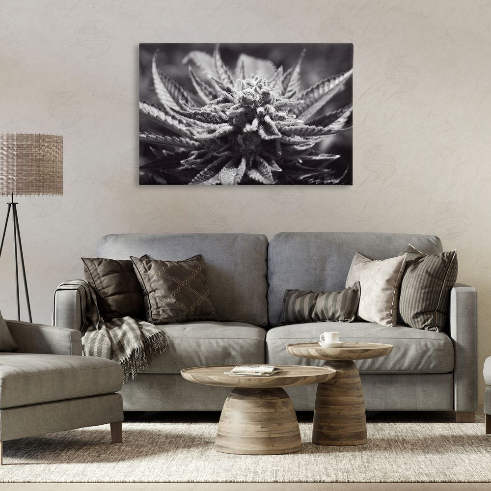 LIH Monochrome Cannabis Flower Canvas Wall Art Print in Room