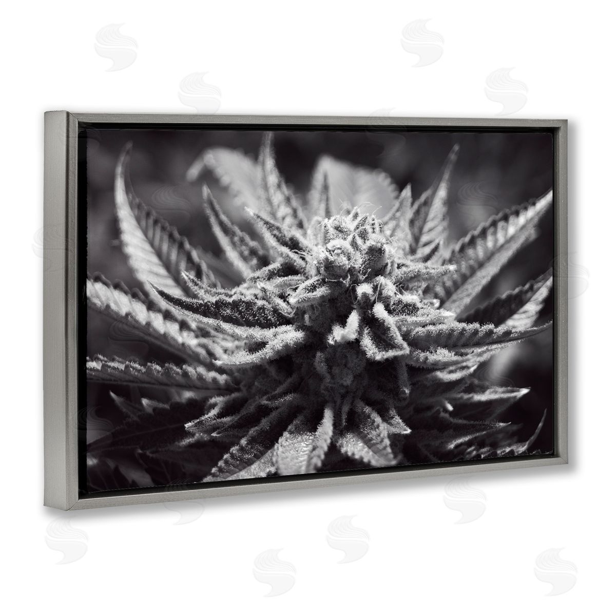 LIH Monochrome Cannabis Flower Gray Floating Frame Canvas Wall Art Print