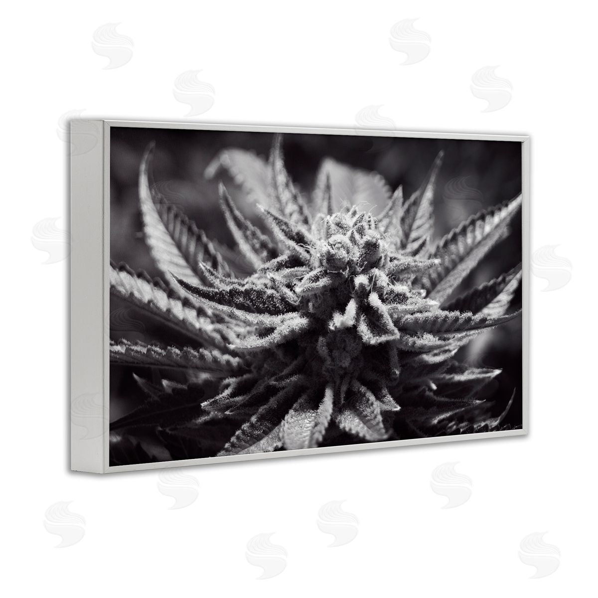 LIH Monochrome Cannabis Flower White Framed Giclee Wall Art Print