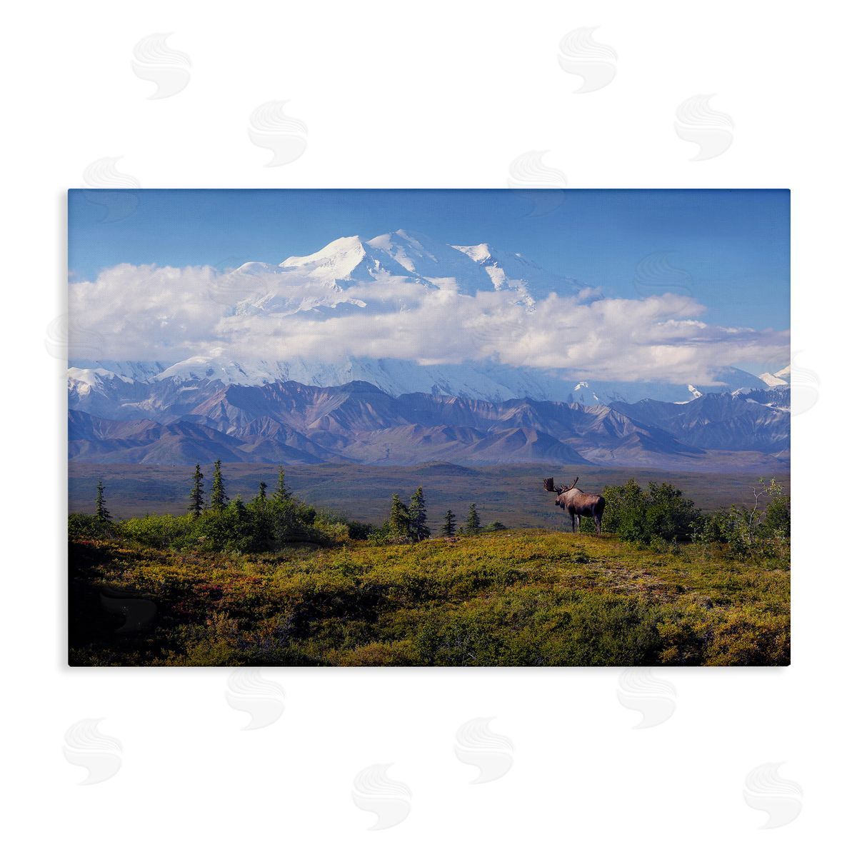 Shane Lamb Mountain Majesty Moose Canvas Wall Art Print