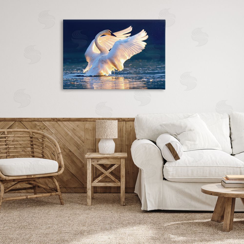 Shane Lamb Sunset Symphony Swan Canvas Wall Art Print in Room