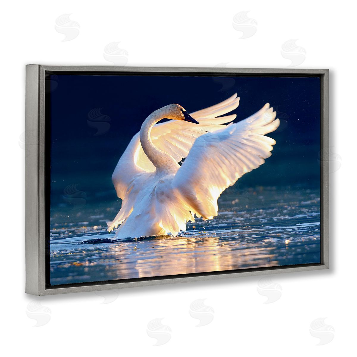 Shane Lamb Sunset Symphony Swan Gray Floating Frame Canvas Wall Art Print