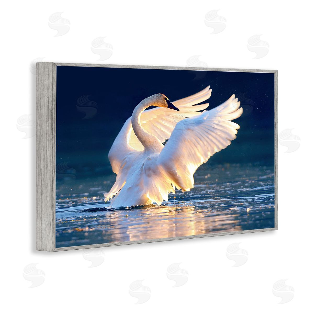 Shane Lamb Sunset Symphony Swan Gray Framed Giclee Wall Art Print