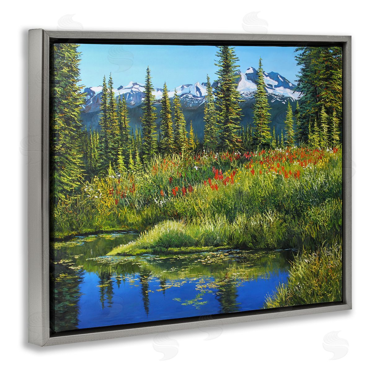 Andrew Kiss High Country Summer Gray Floating Frame Canvas Wall Art Print