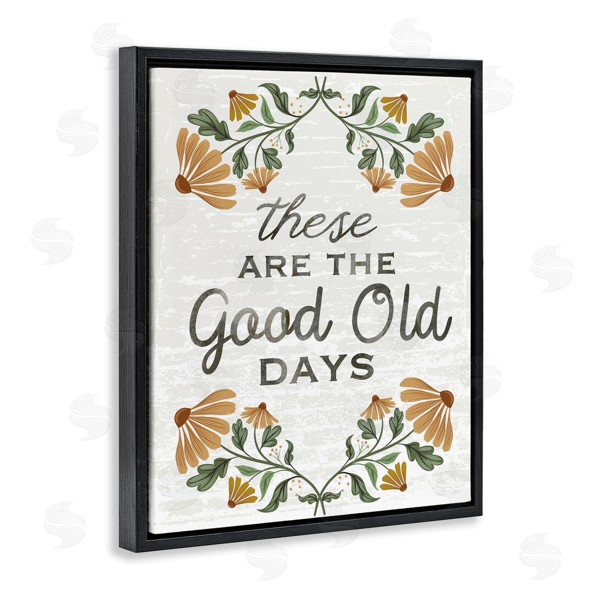 Arrolynn Weiderhold Good Days Floral Pattern Black Floating Frame Canvas Wall Art Print